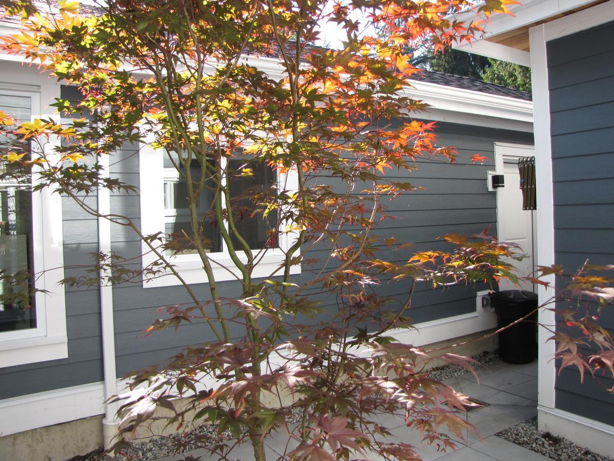 Riverfront Bed And Breakfast Lynn Creek Exteriér fotografie