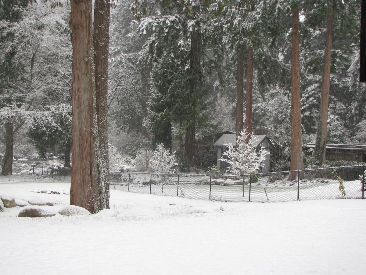 Riverfront Bed And Breakfast Lynn Creek Exteriér fotografie